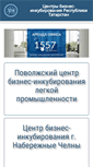 Mobile Screenshot of bizinc.ru