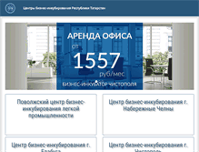 Tablet Screenshot of bizinc.ru